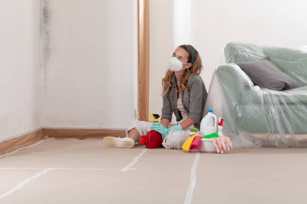 Reliable Commercial Mold Remediation contractor in Victoria, MN by WQB Mold Removal